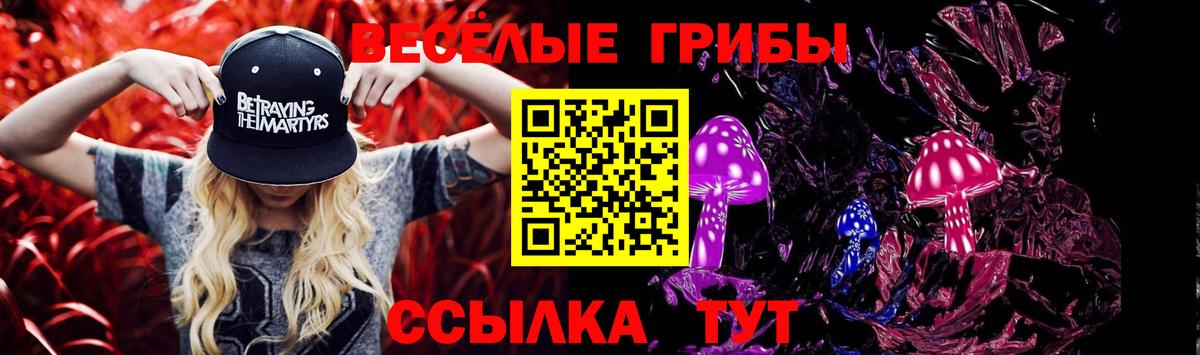 Гуково  Галлюциногенные грибы Cubensis  Вход с VPN 